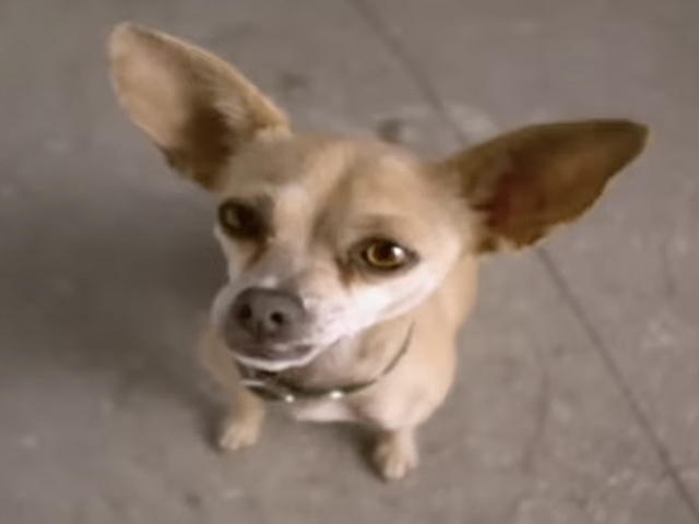 Yo Quiero Taco Bell Commercial 1997