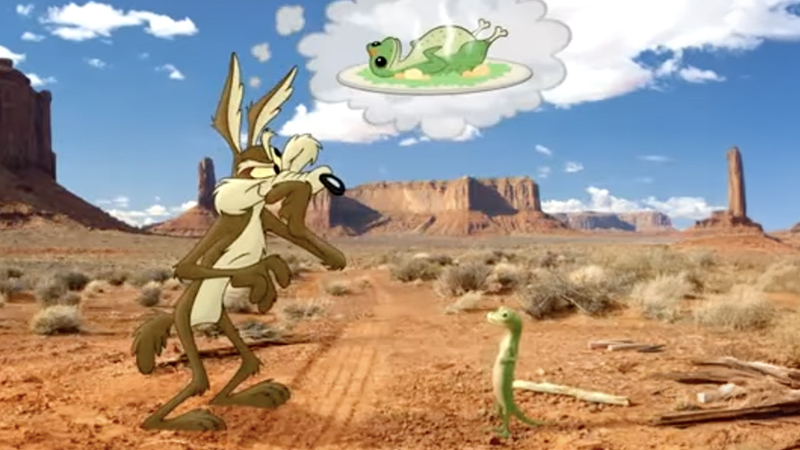 GEICO Gecko Meets Wile E. Coyote