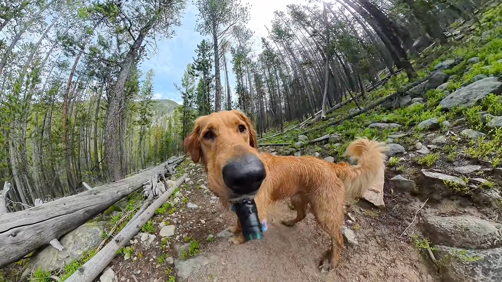 Willy’s Seven-Mile Alpine Adventure